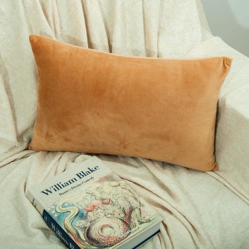 NTBAY 2 Pack Cozy Velvet Throw Pillow Cover - NTBAY