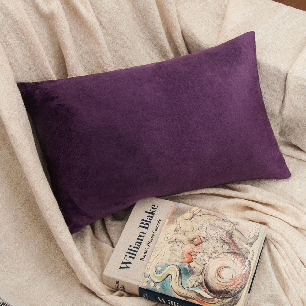 NTBAY 2 Pack Cozy Velvet Throw Pillow Cover - NTBAY