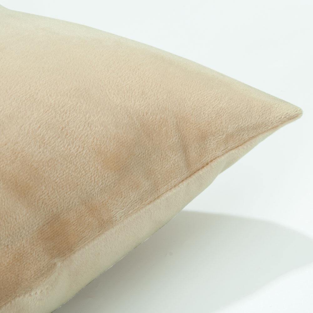 NTBAY 2 Pack Cozy Velvet Throw Pillow Cover - NTBAY