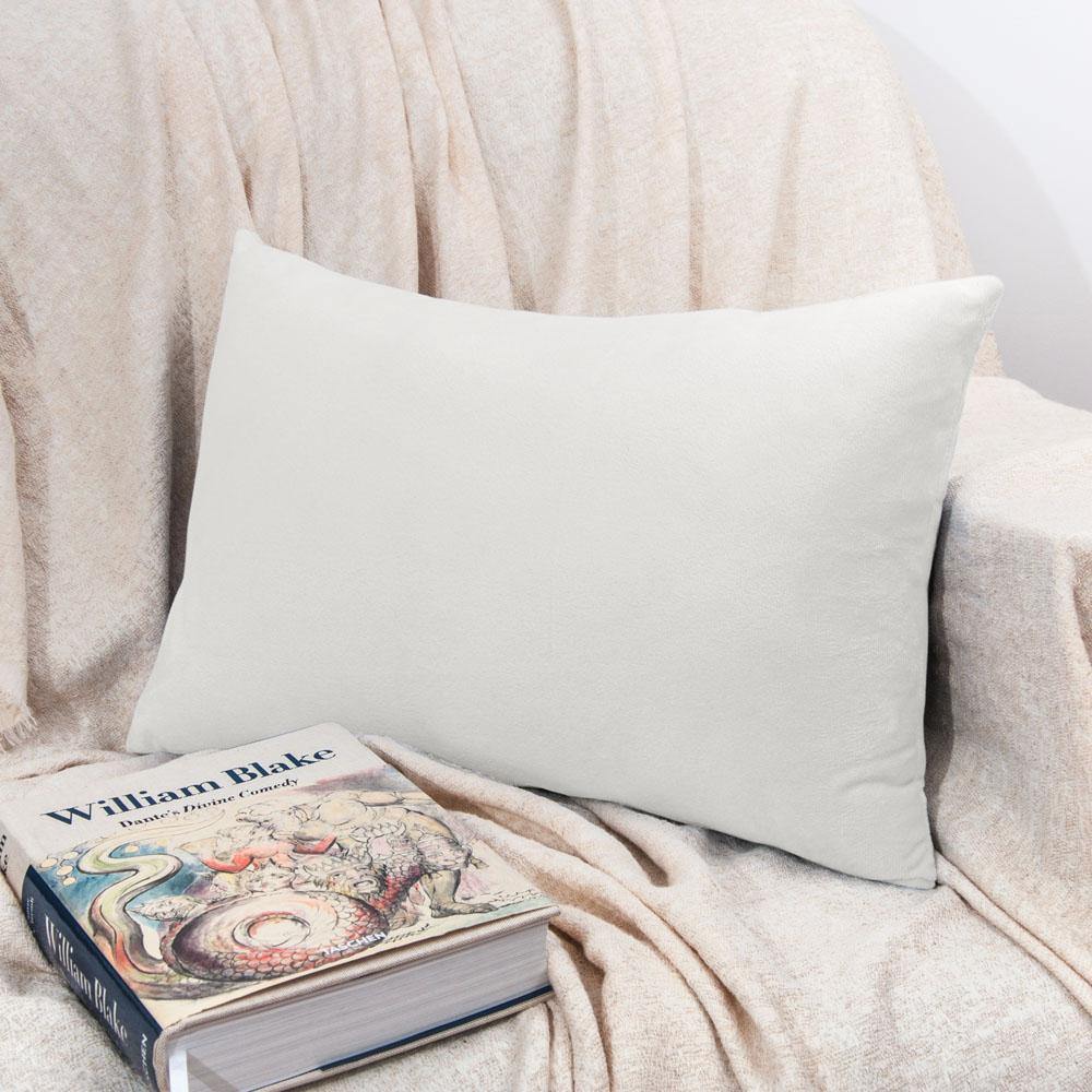 NTBAY 2 Pack Cozy Velvet Throw Pillow Cover - NTBAY
