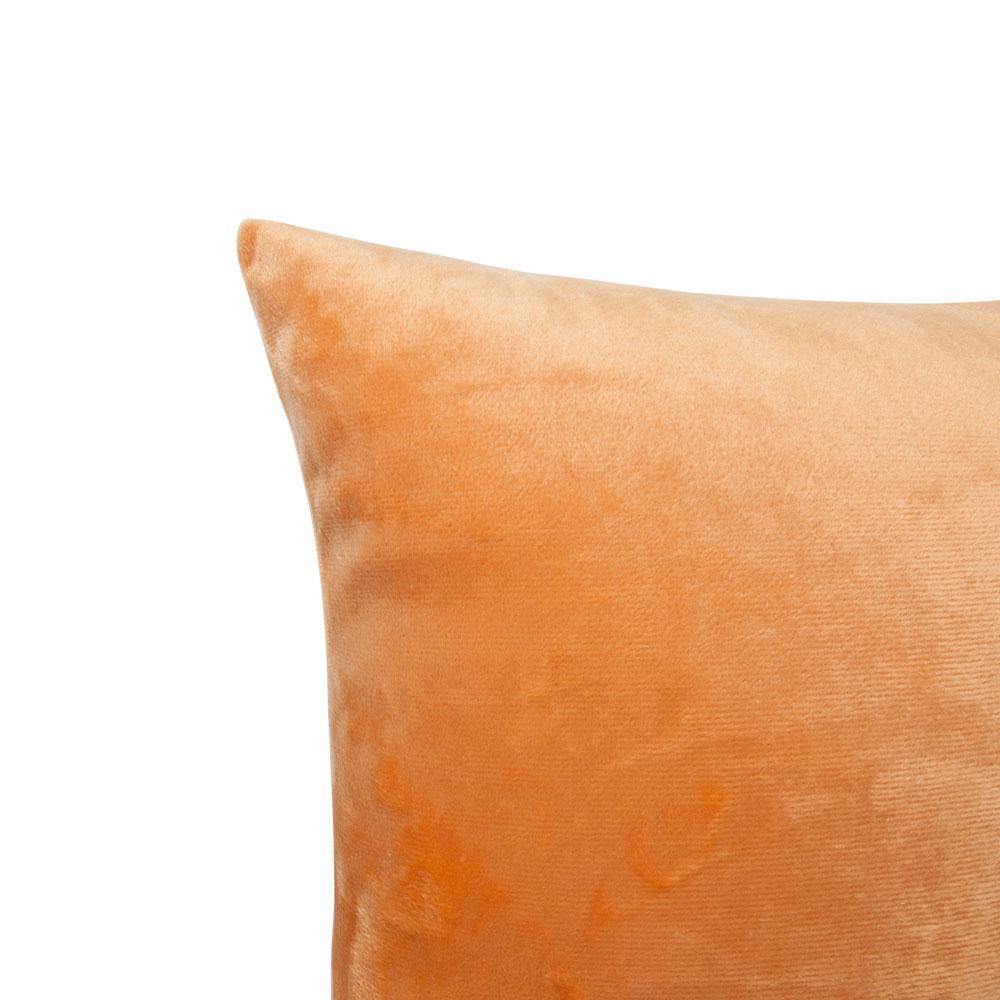 NTBAY 2 Pack Cozy Velvet Throw Pillow Cover - NTBAY