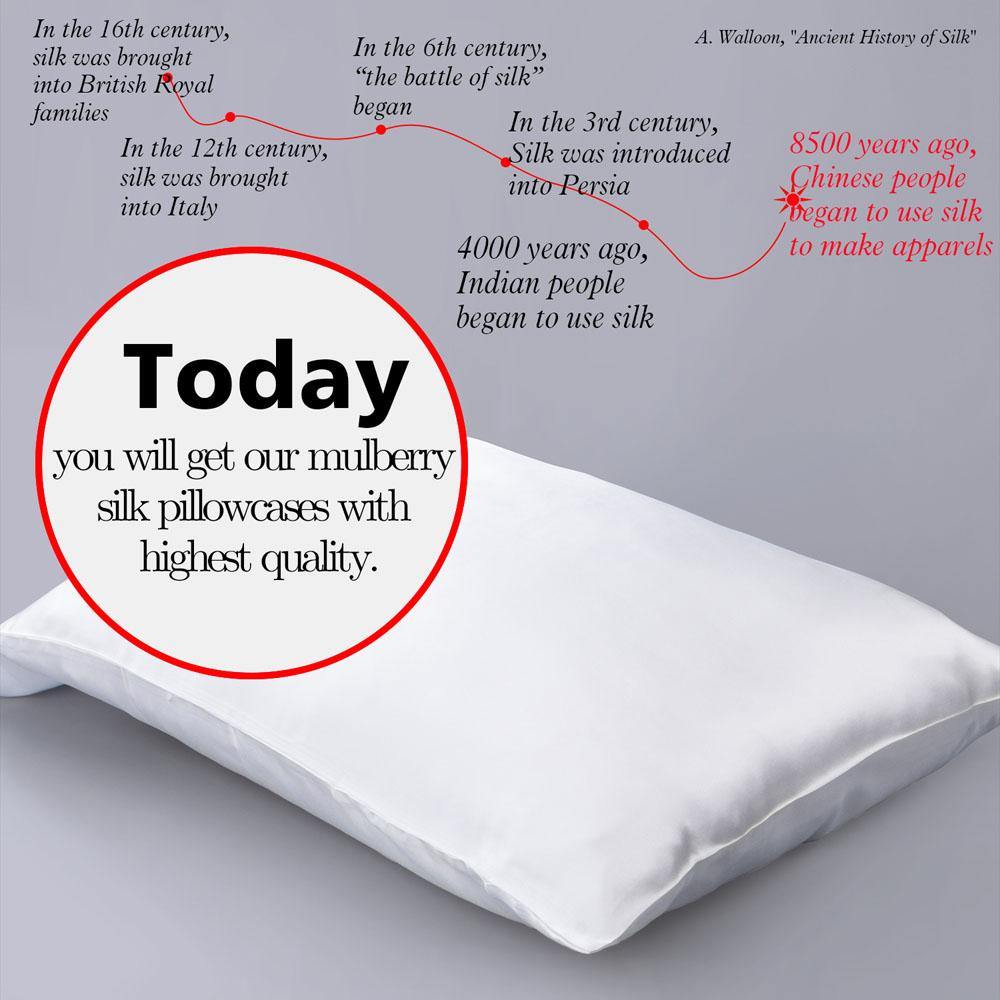 Mulberry Silk Pillowcase with Zippered Closure detail view by Fasiano