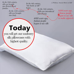 Mulberry Silk Pillowcase with Zippered Closure detail view by Fasiano