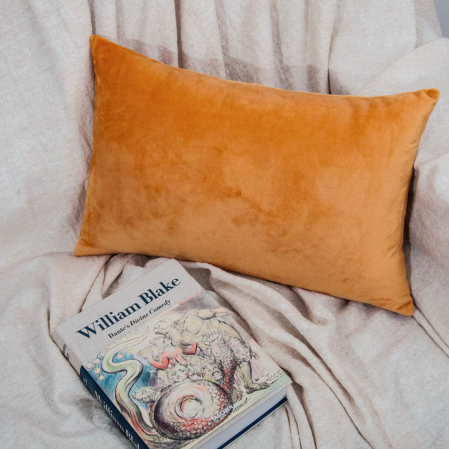 NTBAY 2 Pack Cozy Velvet Throw Pillow Cover - NTBAY