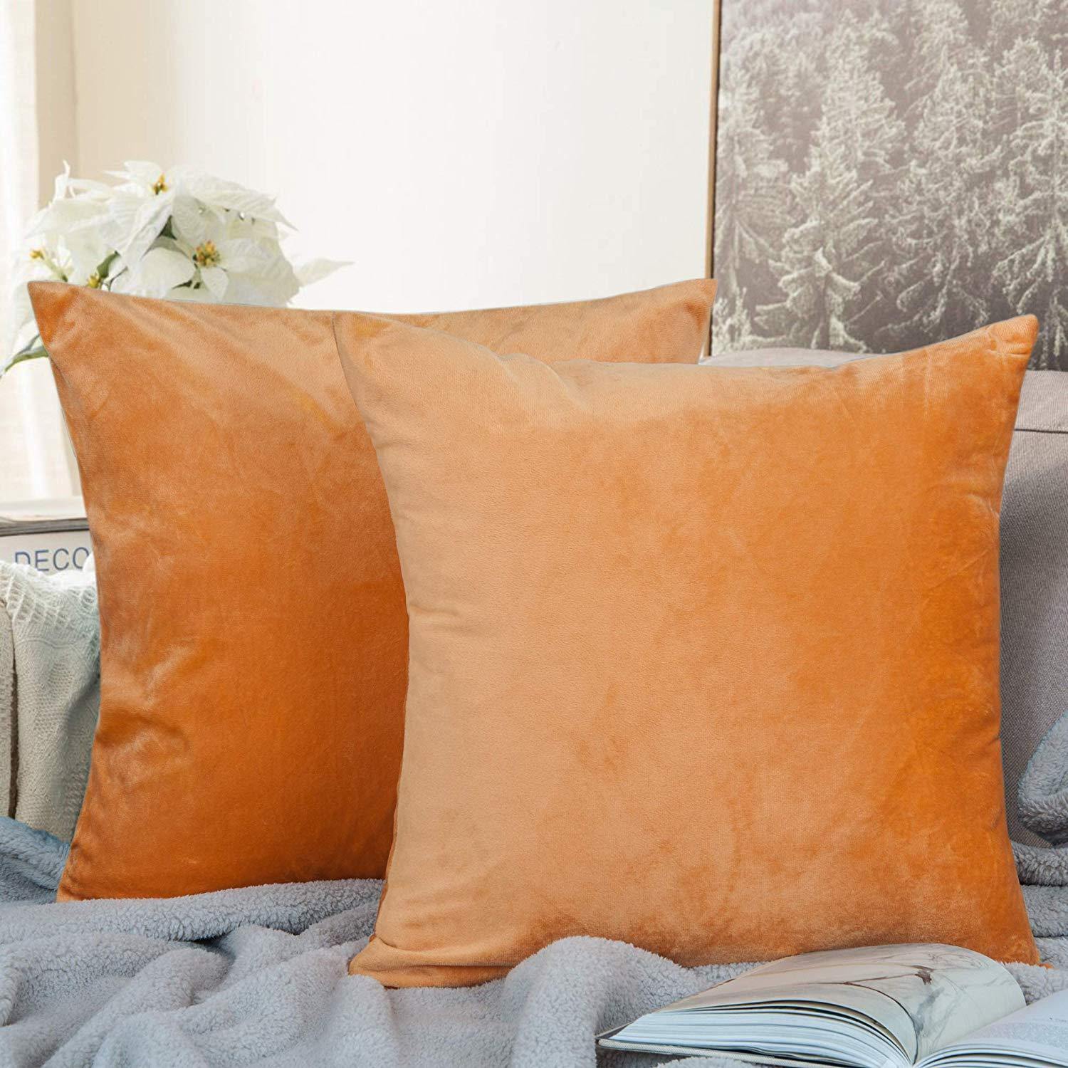 NTBAY 2 Pack Cozy Velvet Throw Pillow Cover - NTBAY