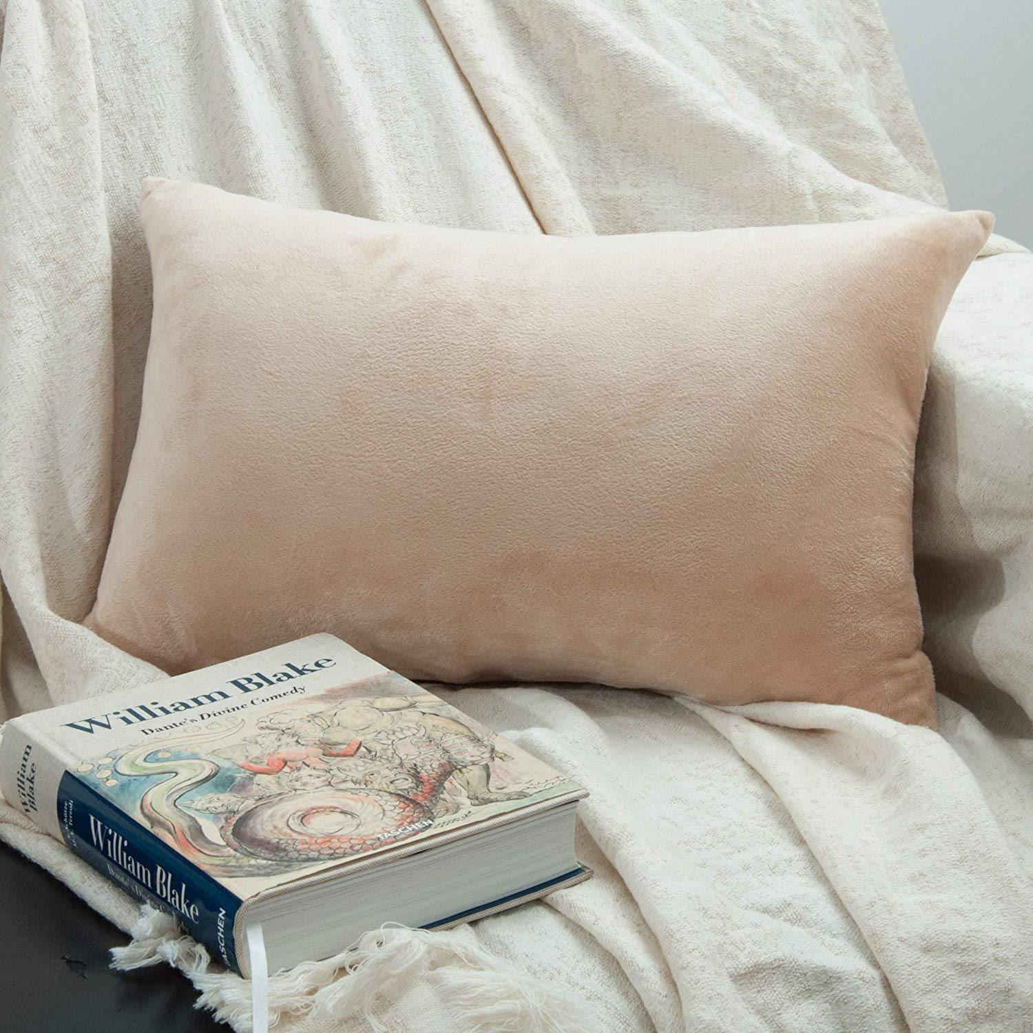 NTBAY 2 Pack Cozy Velvet Throw Pillow Cover - NTBAY