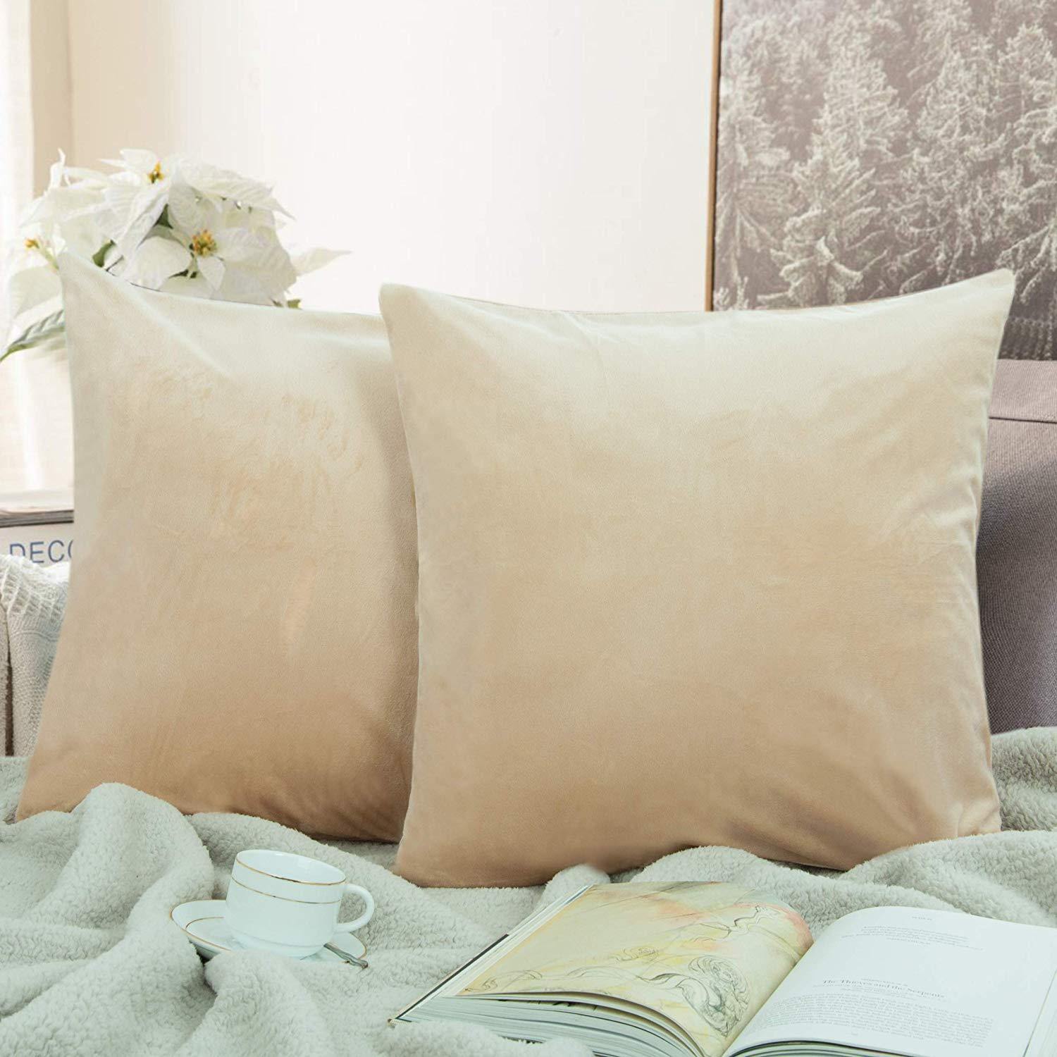 NTBAY 2 Pack Cozy Velvet Throw Pillow Cover - NTBAY